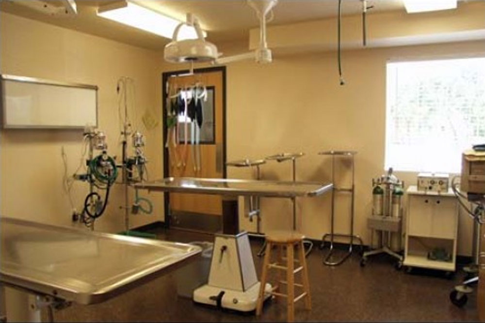 Tour Vet in Millcreek Brickyard Animal Hospital